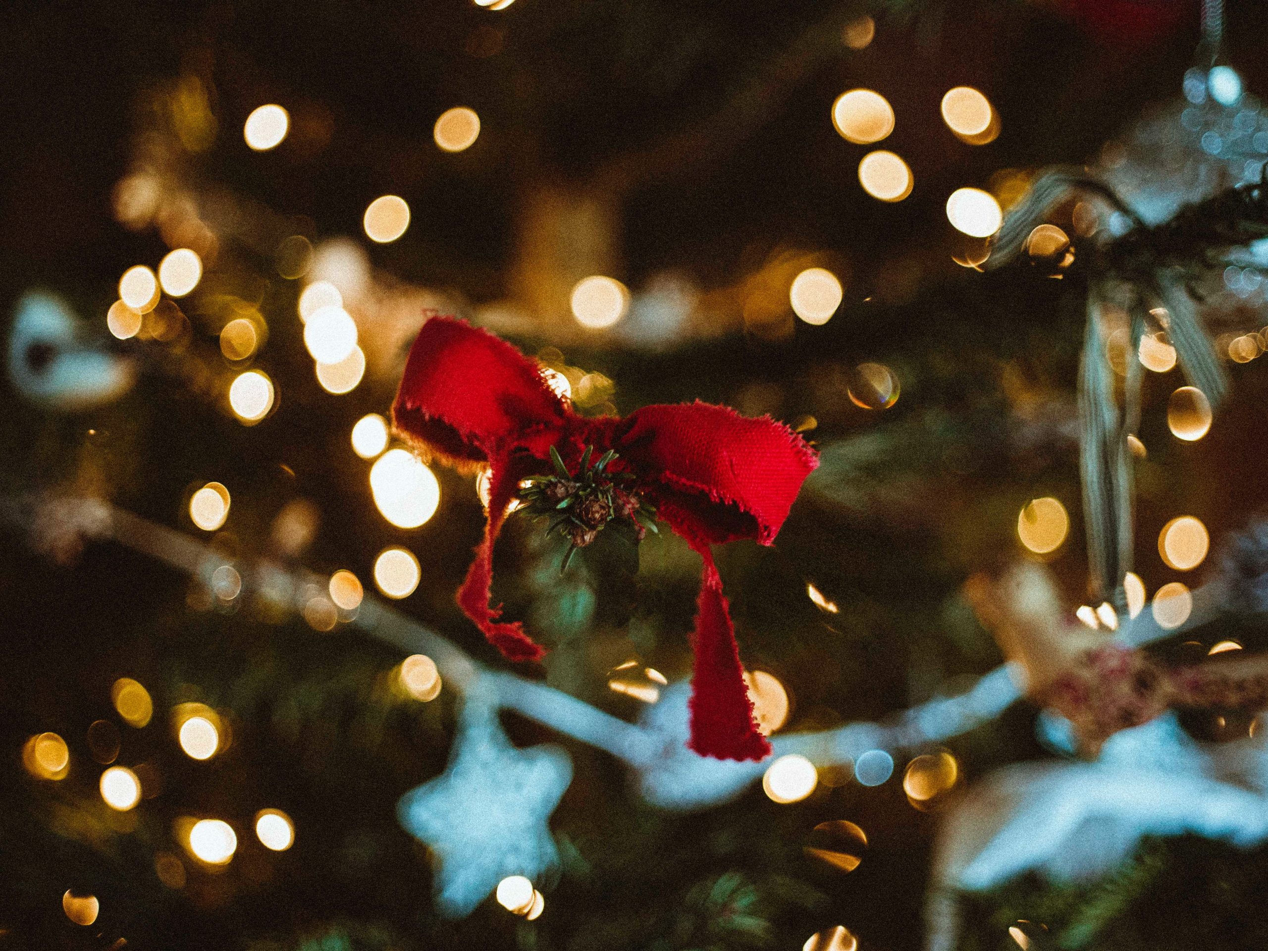 red bow on christmas tree