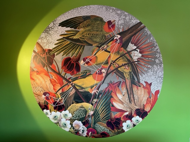 The Avenue Project with Nightsafe