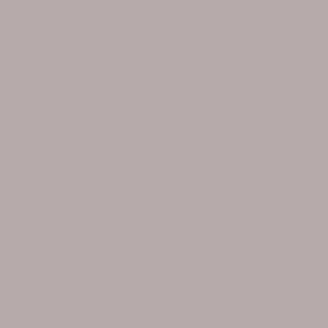 SAS Pebble Grey SPR701
